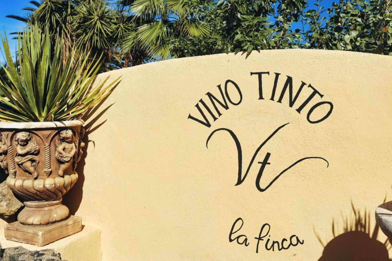 Finca Vino Tinto 4 Икод-де-лос-Винос Экстерьер фото